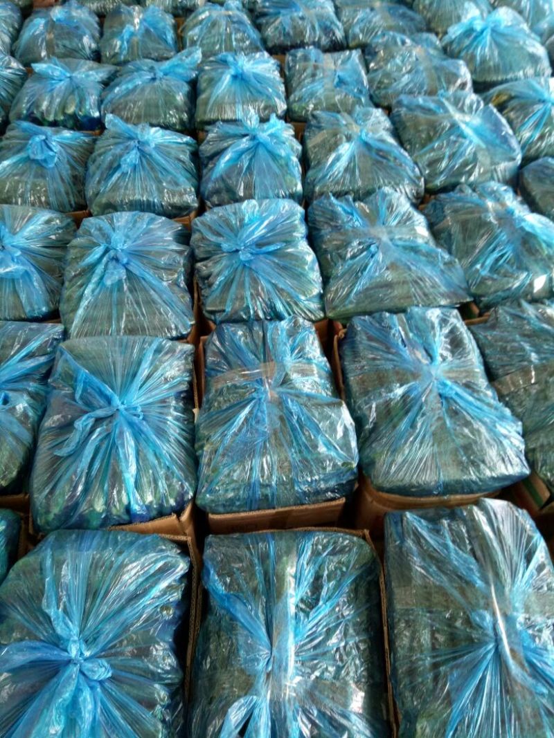 精品密刺黄瓜黄瓜干花带刺万亩黄瓜基地直发对接电商批发商商超