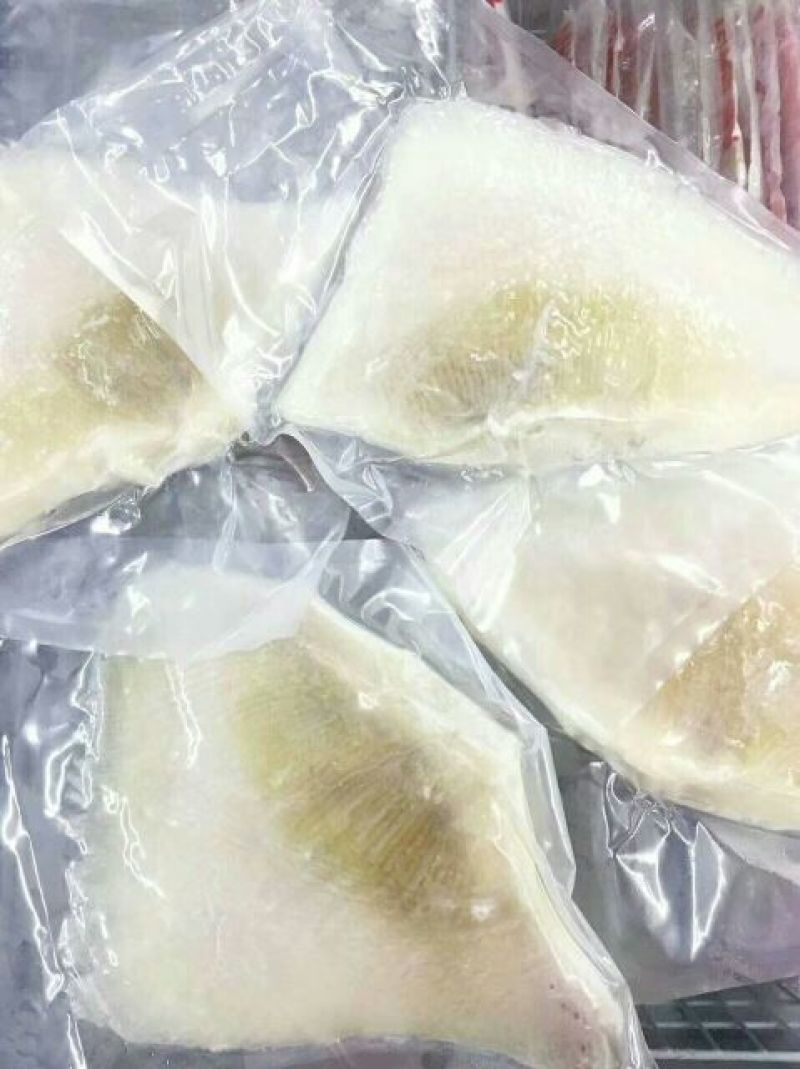 鱼翅