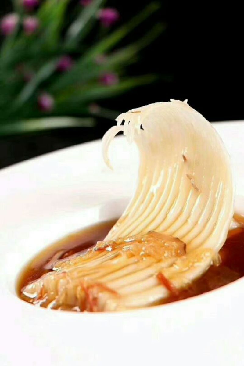鱼翅