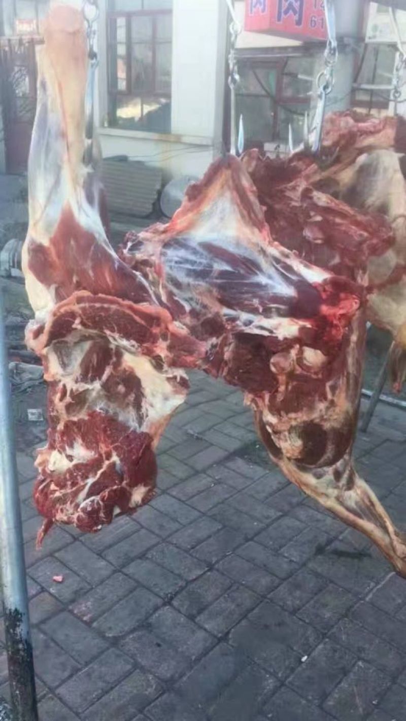 驴肉鲜货