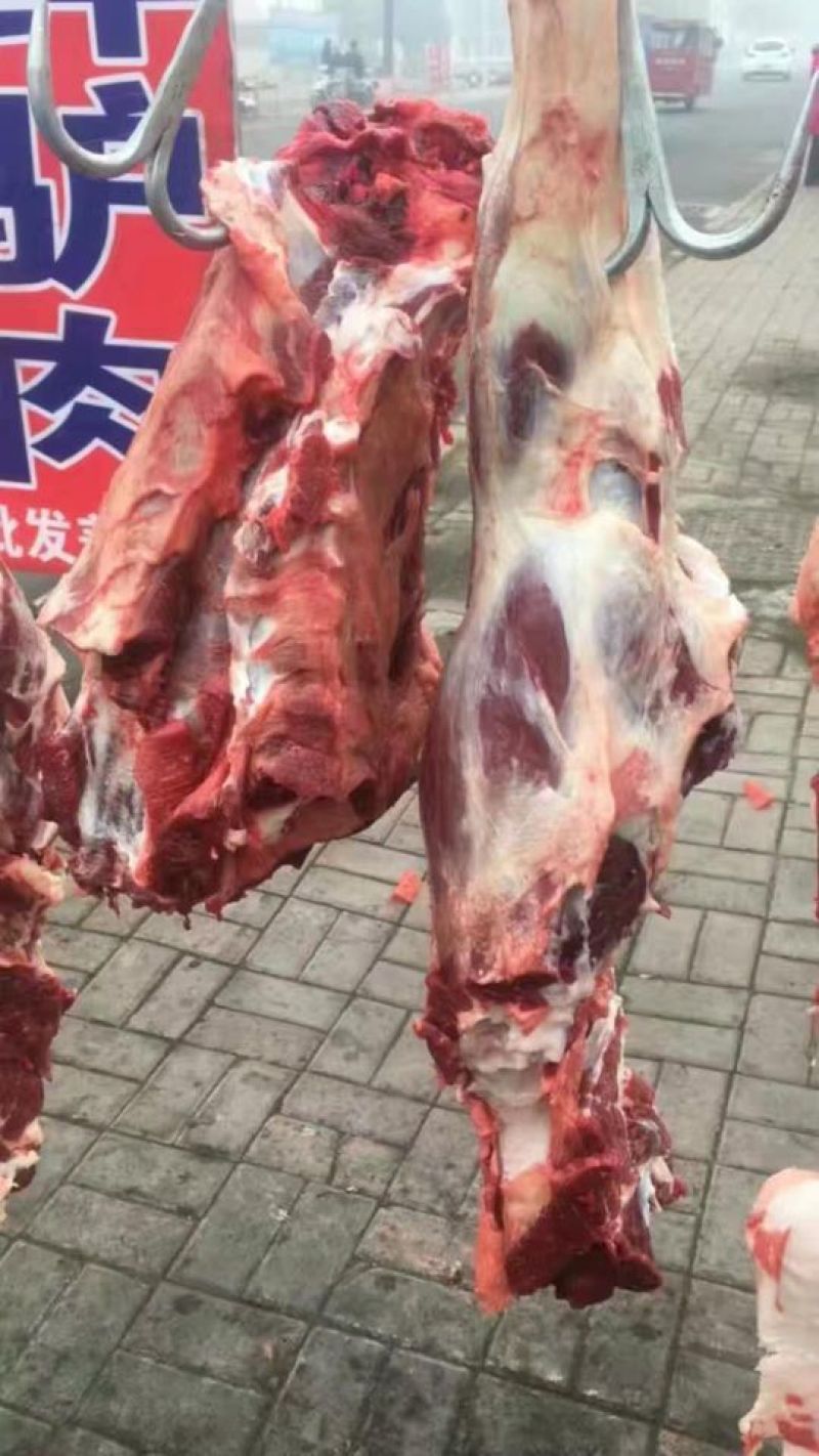 驴肉鲜货