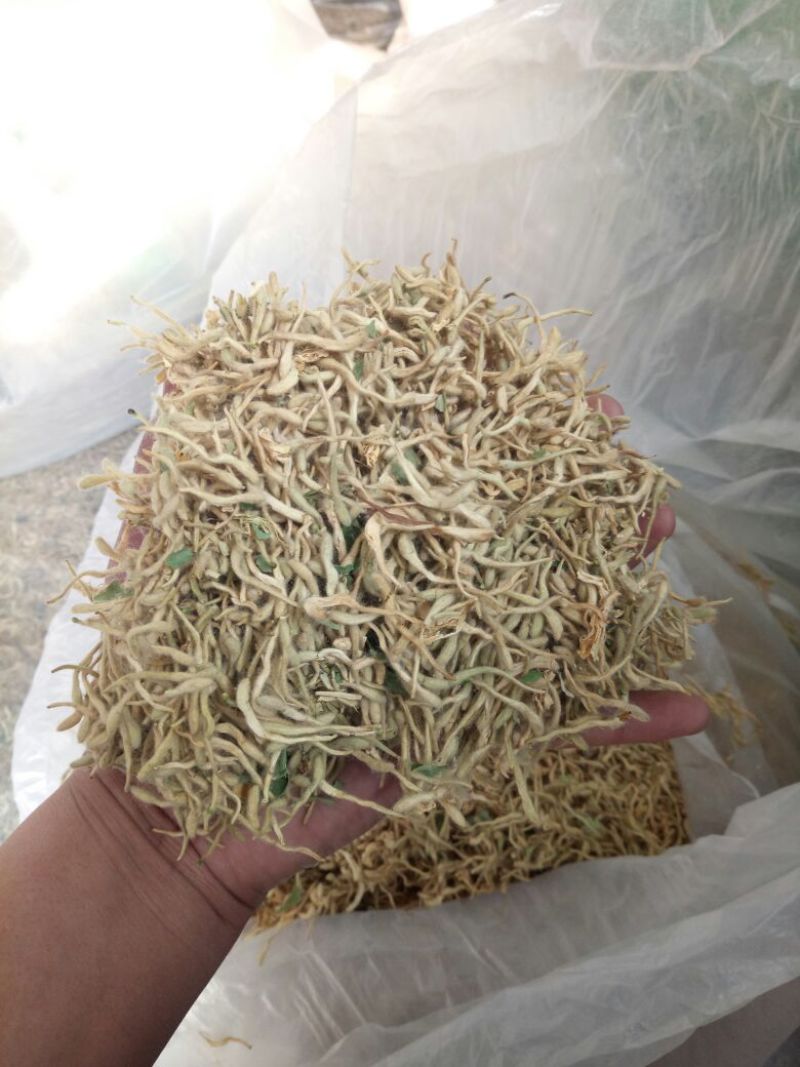 金银花山东(包含量)