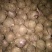 大蒜2.5cm干蒜
