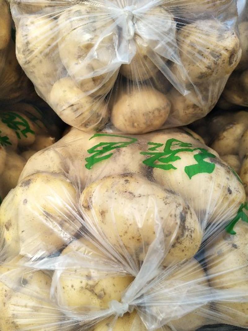 城固土豆，三两以上，果面光净，种植面积大，产地直销！