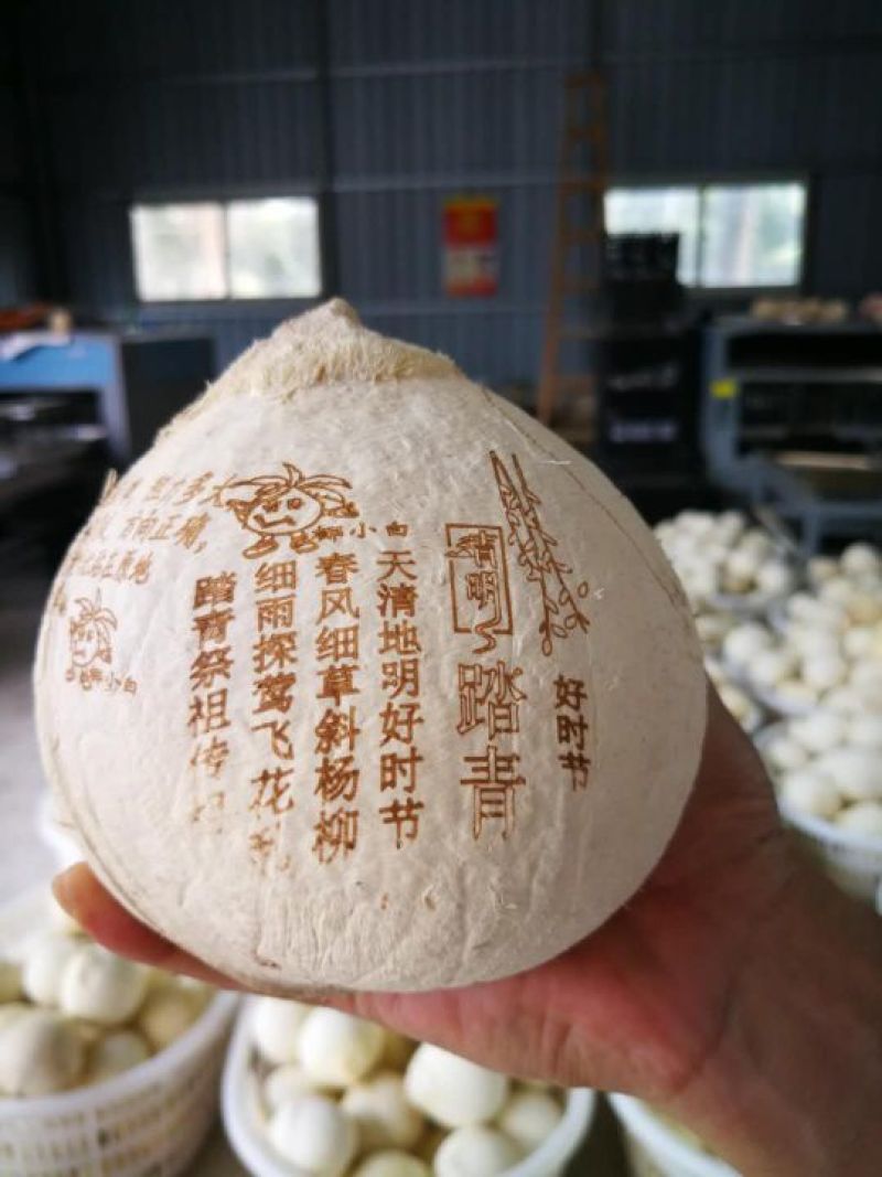 椰皇3~4斤