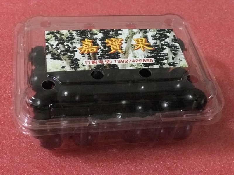 千棵嘉宝果，有果上市了，诚邀各大电商团队合作