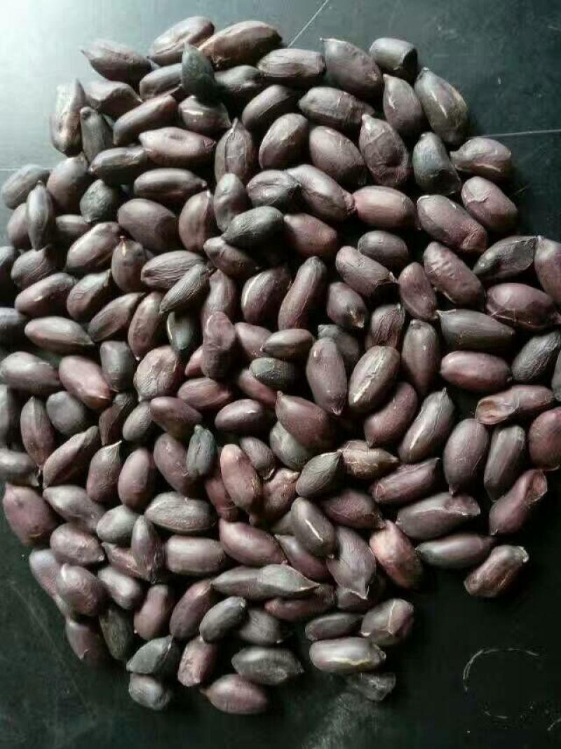 黑花生干货带壳