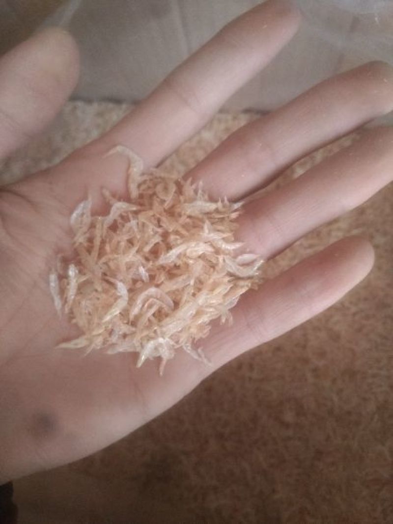 虾皮一级