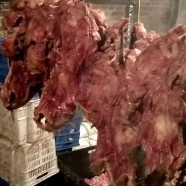 河北精品牛副产品牛杂