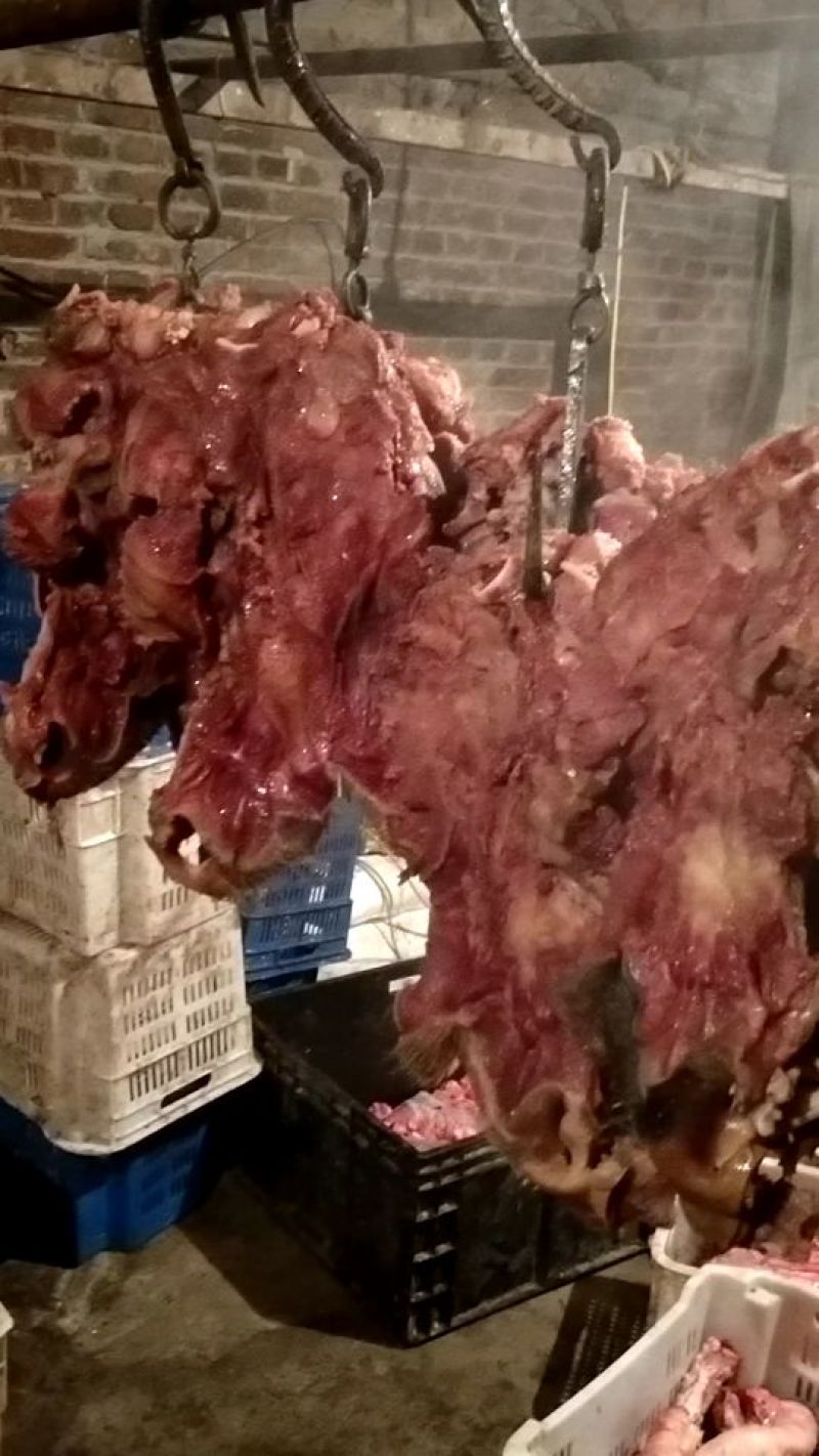 河北精品牛副产品牛杂
