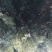 水腊10~20cm
