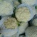 河北邯郸永年本地花菜上市了，菜花2~3斤紧花乳白