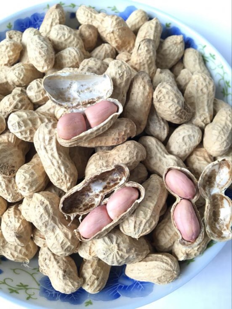 白沙系列干货带壳，手工挑选，壳薄仁大