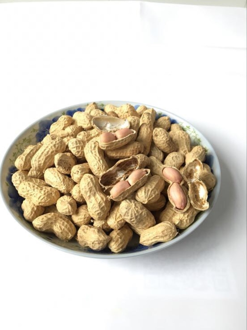 白沙系列干货带壳，手工挑选，壳薄仁大