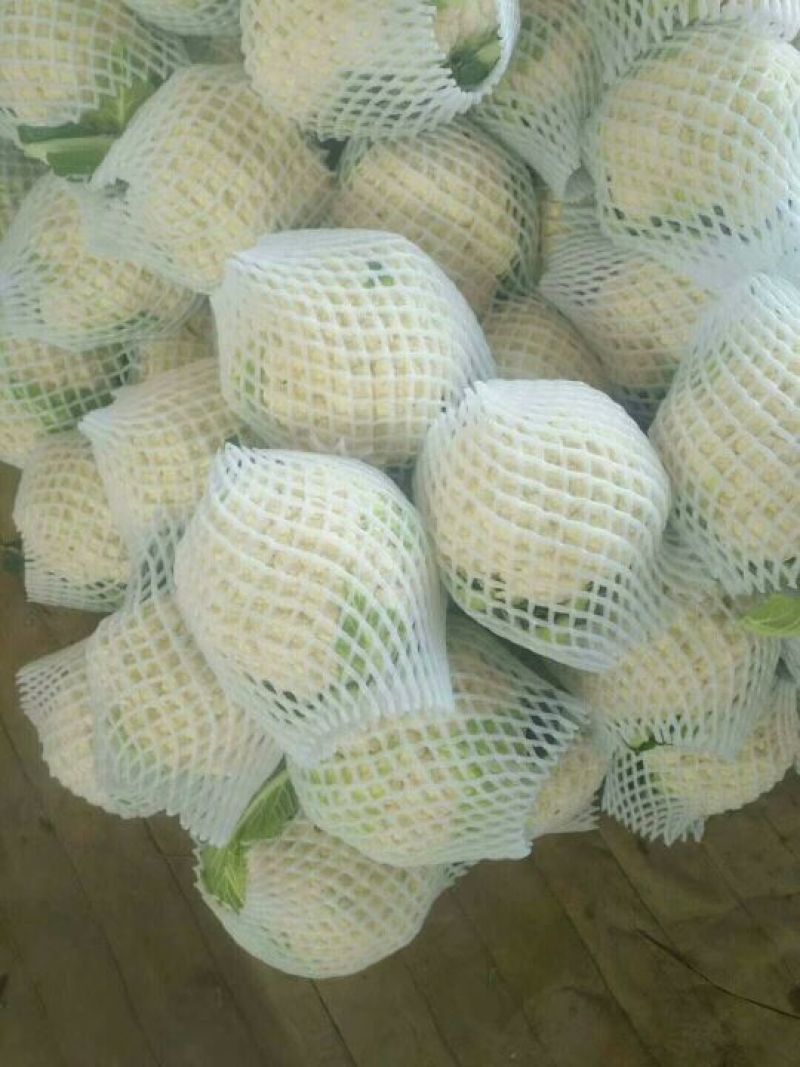 白花菜花产地直达量大货优各类应季蔬菜