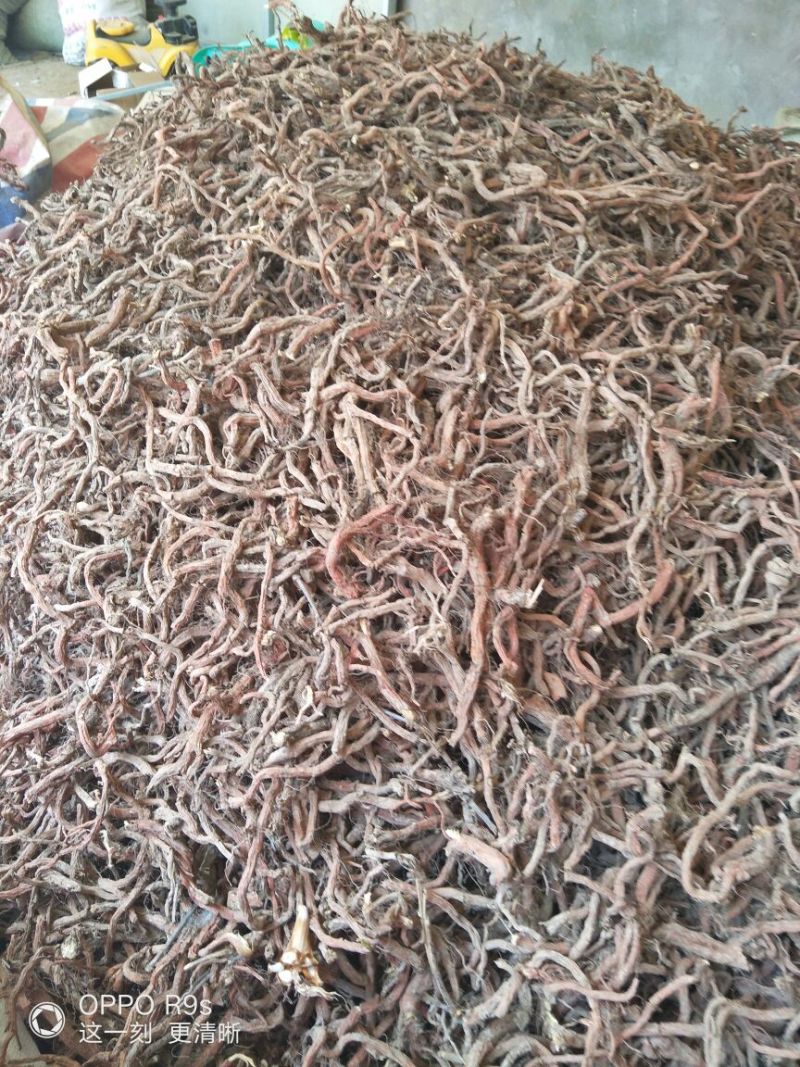 丹参统个