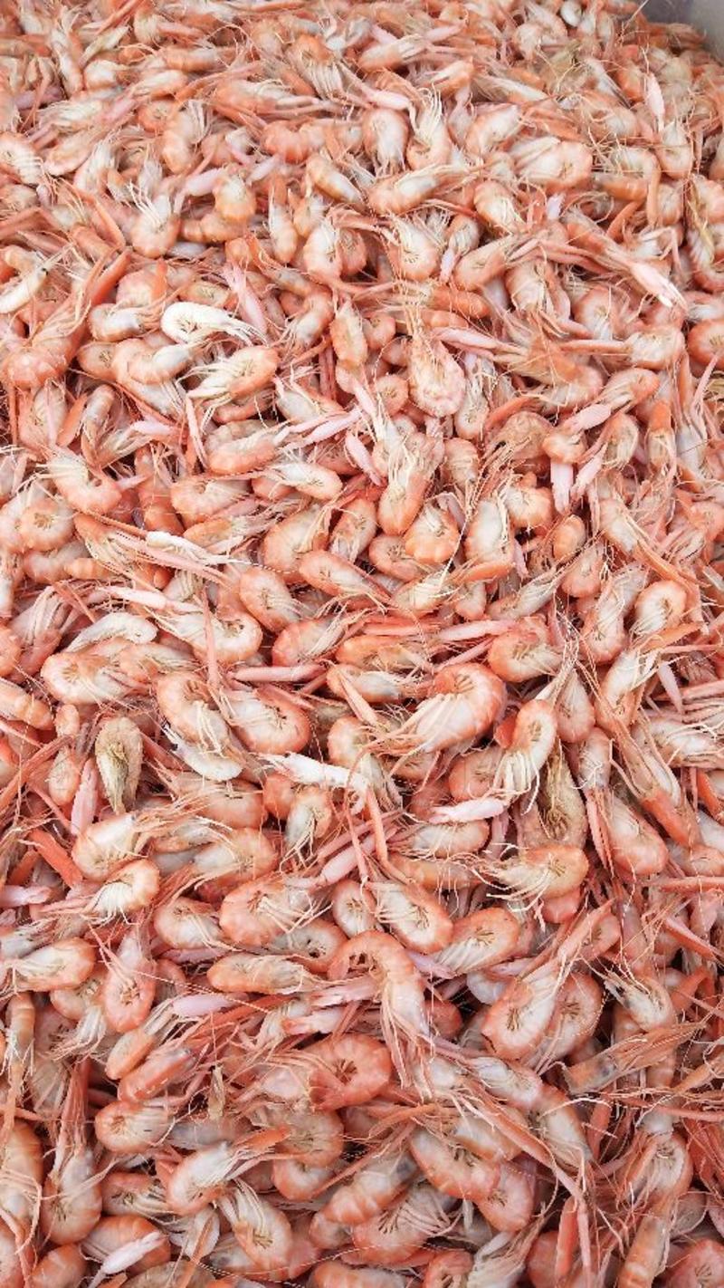 红虾食用冻虾爪虾，鳌虾，夹板虾，，，，，