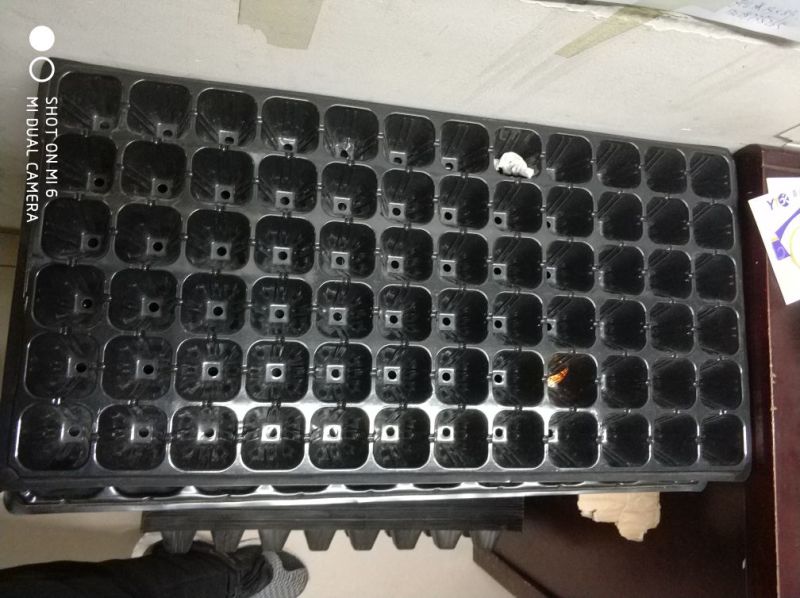 穴盘