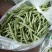 扁青芸豆15cm以上