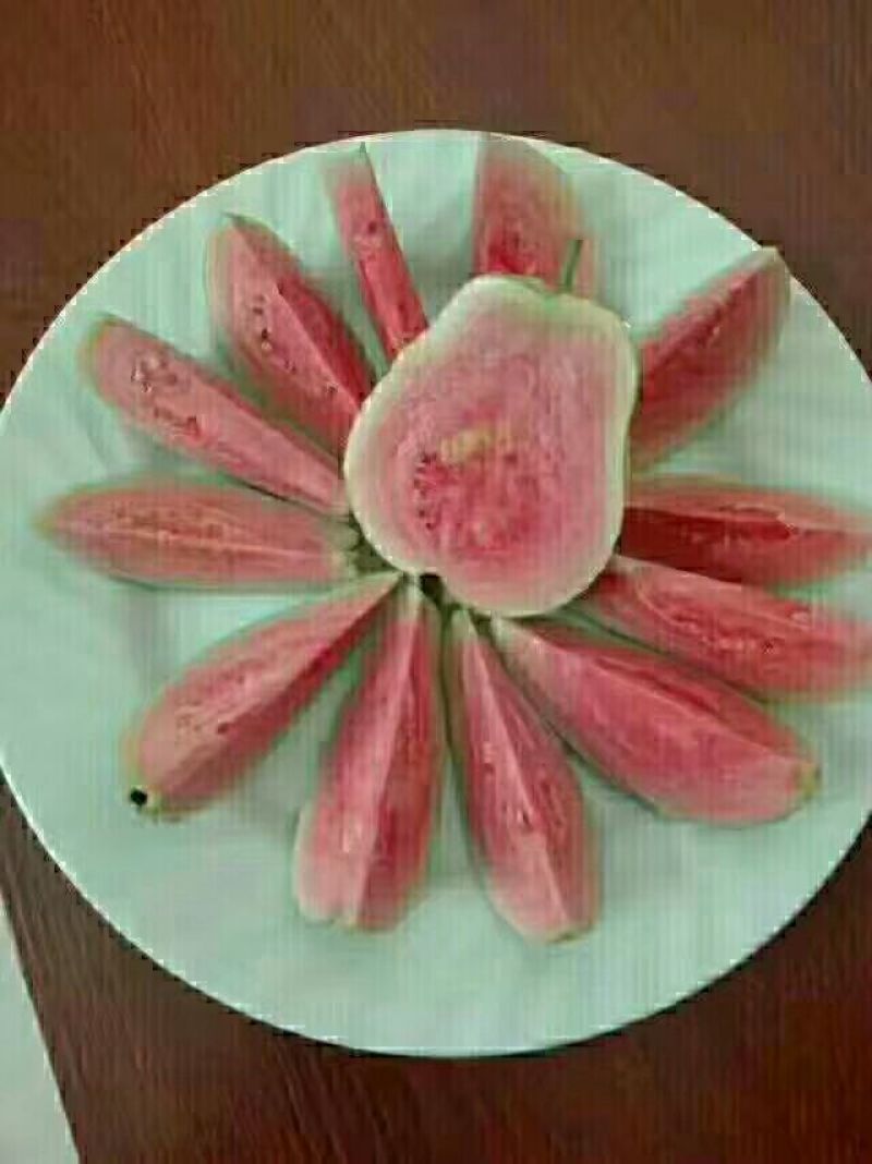 红宝石芭乐60~70mm红心
