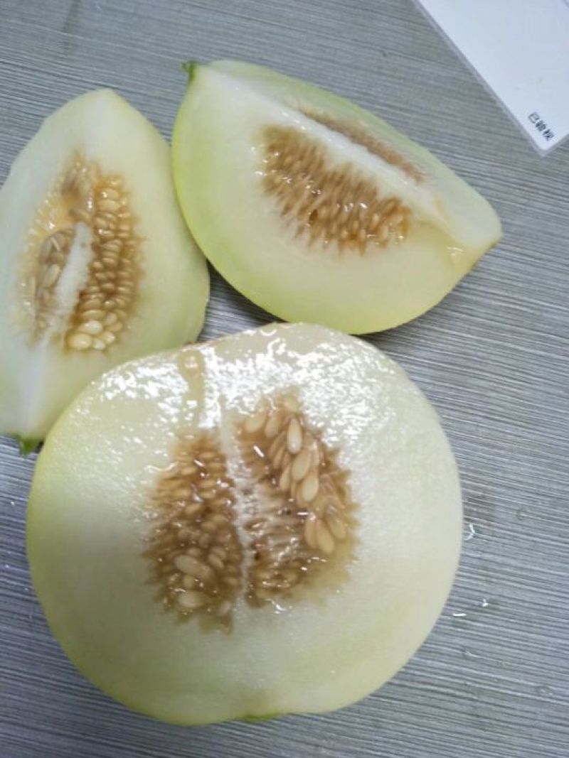 香瓜甜瓜现货力一件代发招电商拼多多天猫微商合作价格优