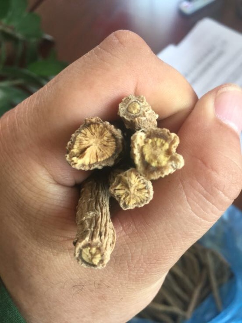 板蓝根统个