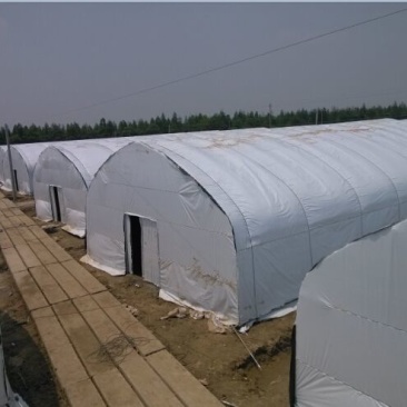 大棚膜黑白膜养殖膜全新料12丝