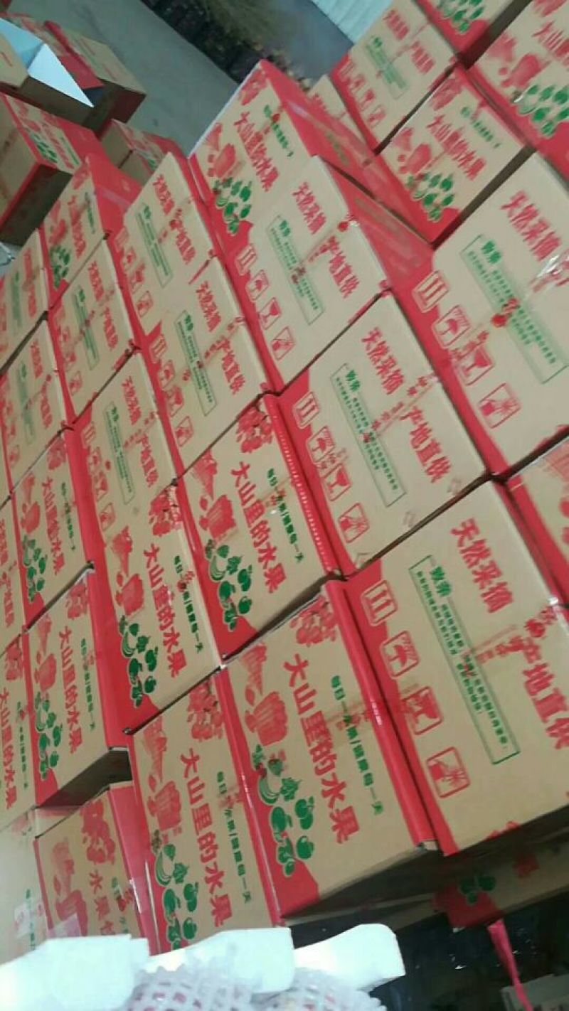 苹果75mm以上膜袋山西红富士苹果一件代发
