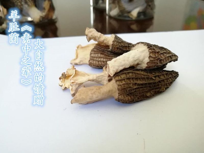 羊肚菌一级品