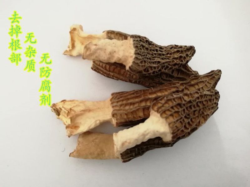 羊肚菌一级品