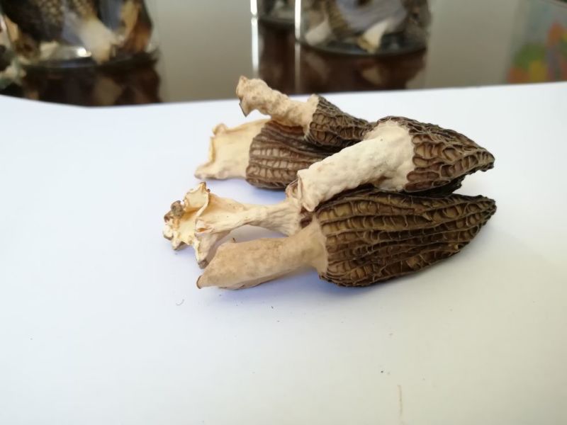 羊肚菌一级品