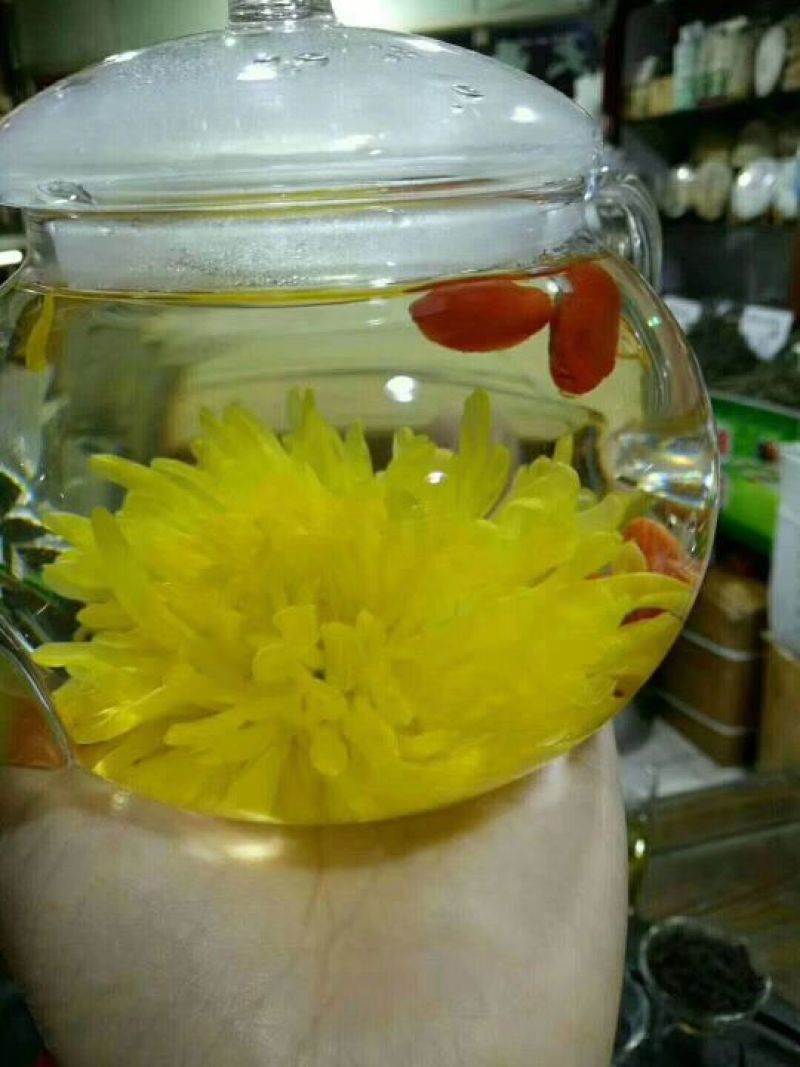 菊花茶金丝皇菊花茶安徽