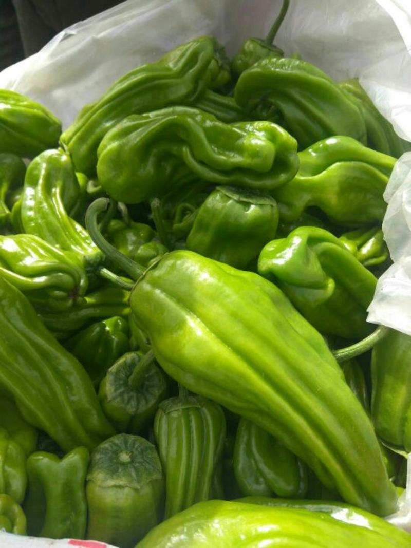 菜椒2cm以上，品种齐全，产地直供，欢迎选购