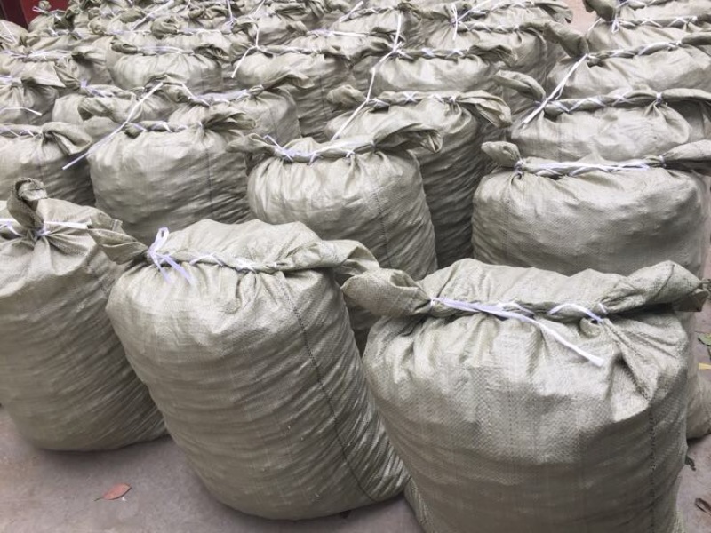 大蒜种硬叶蒜软叶蒜苗蒜苔蒜（产地直供）