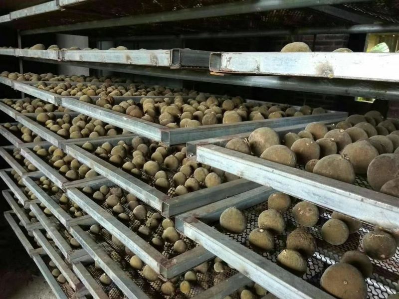 化橘红化州橘红陈年化橘红切片正毛橘红片