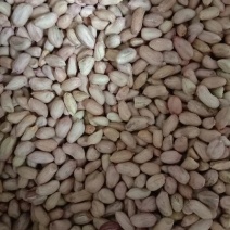 大粒花生米白皮一级