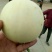 白雪甜瓜提供600平的场地