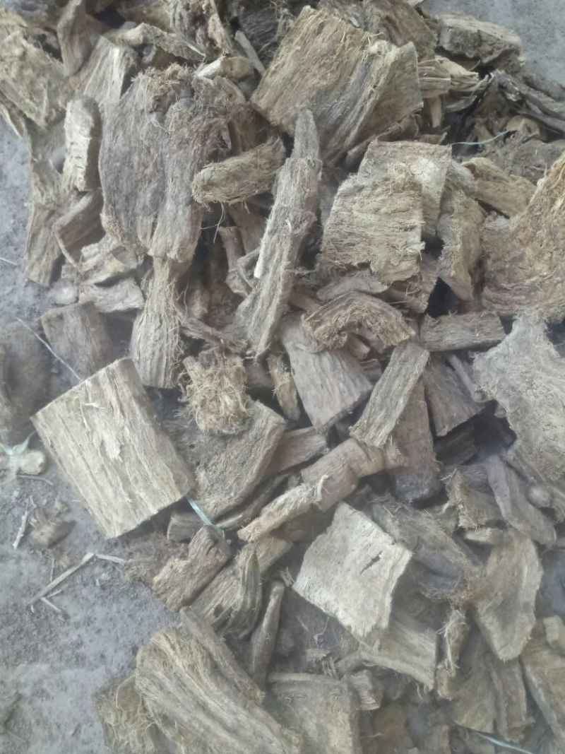 葛根药用0.5~1斤