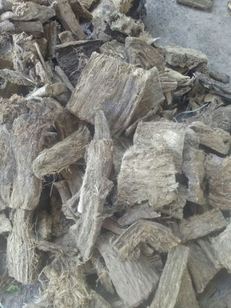 葛根药用0.5~1斤