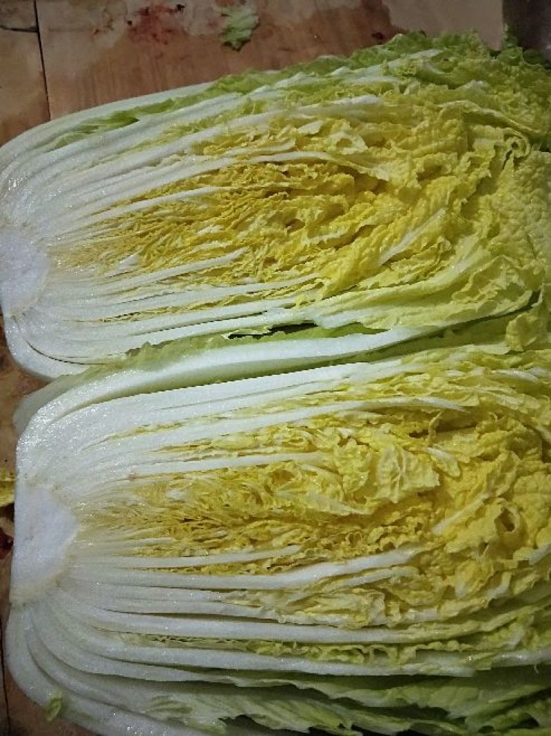 黄心白菜净菜7斤以上