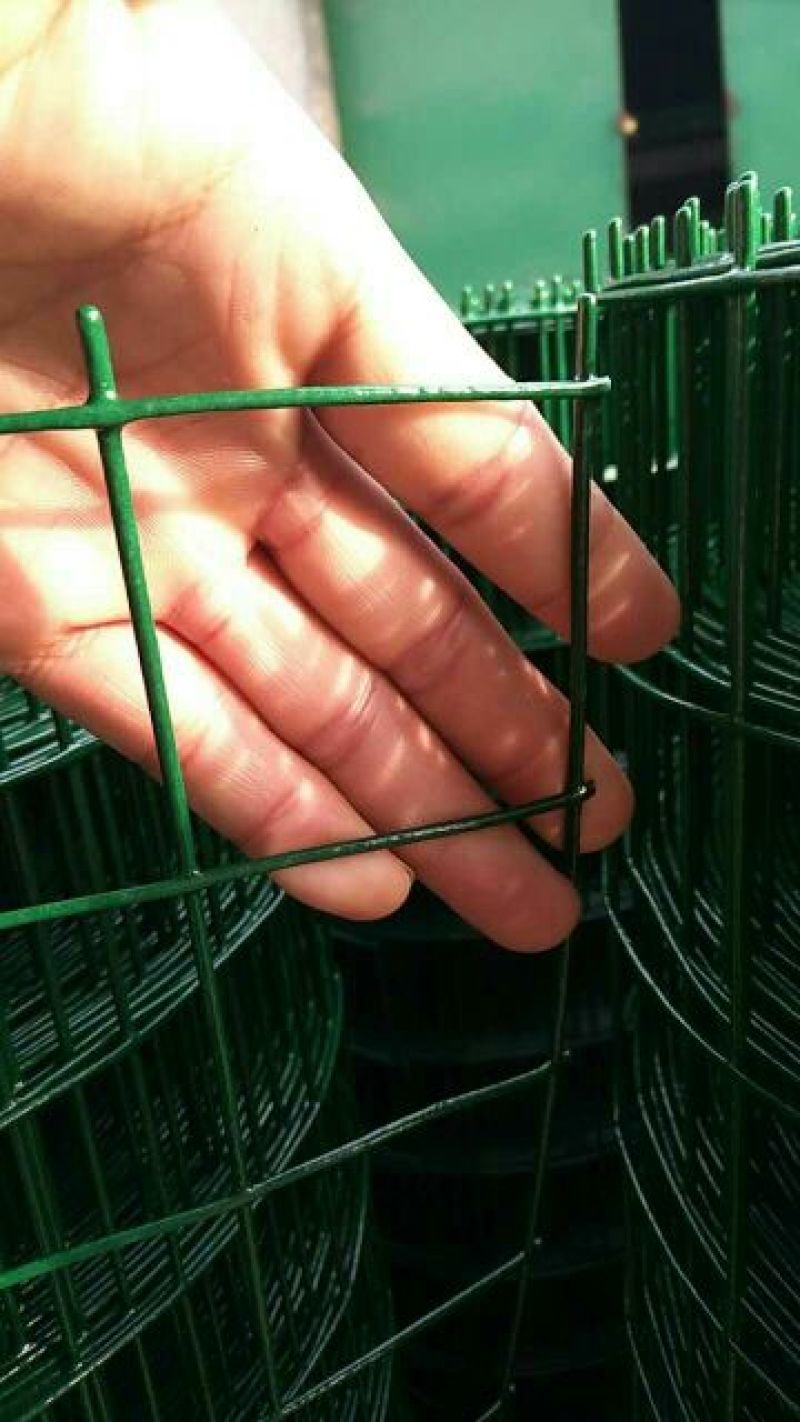 养殖网1.5米高，6×6孔径，240丝，30米
