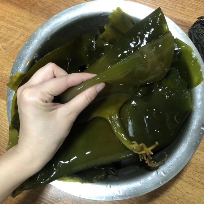 黑藻海带