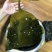 黑藻海带