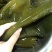 黑藻海带