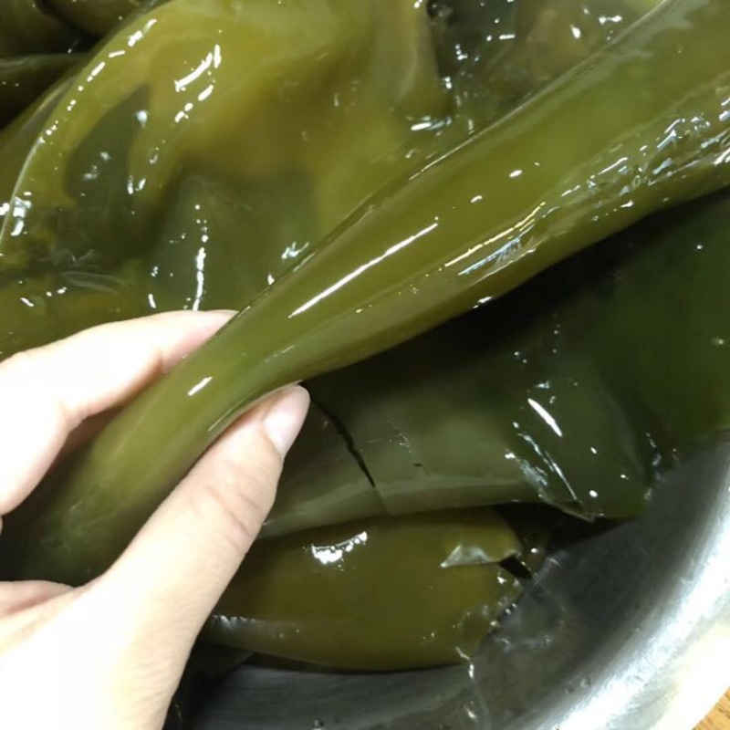 黑藻海带