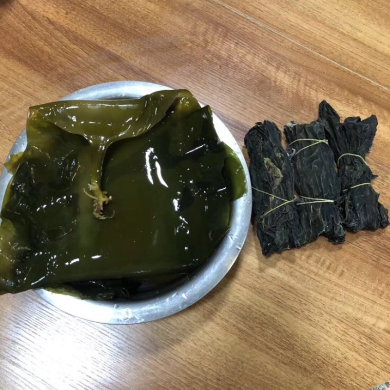 黑藻海带
