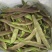 山东单县白不老，紫花油豆已上市，大吨位供货！