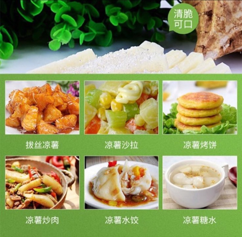 凉薯云南高原地瓜土瓜凉薯豆薯葛