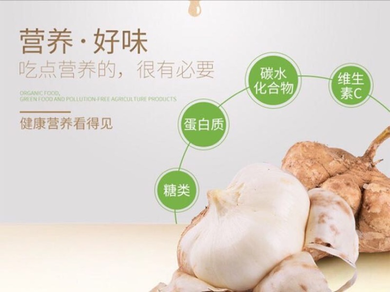 凉薯云南高原地瓜土瓜凉薯豆薯葛