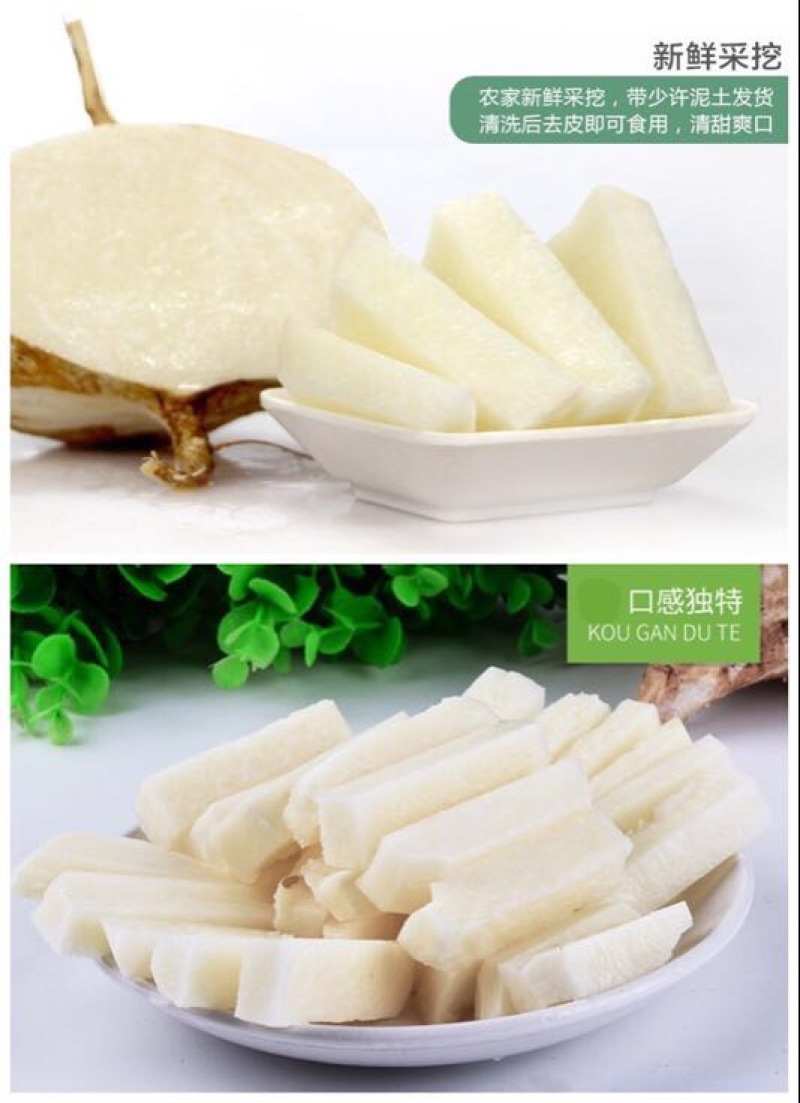 凉薯云南高原地瓜土瓜凉薯豆薯葛